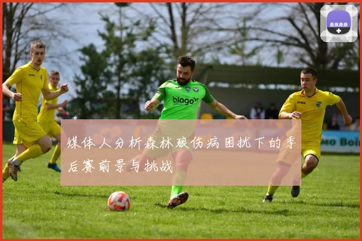 媒体人分析森林狼伤病困扰下的季后赛前景与挑战